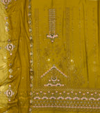 Chiffon Chikenkari Work Embroidery